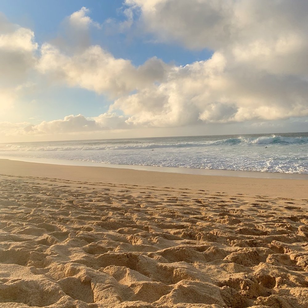 Meet your Posher, Adrianne